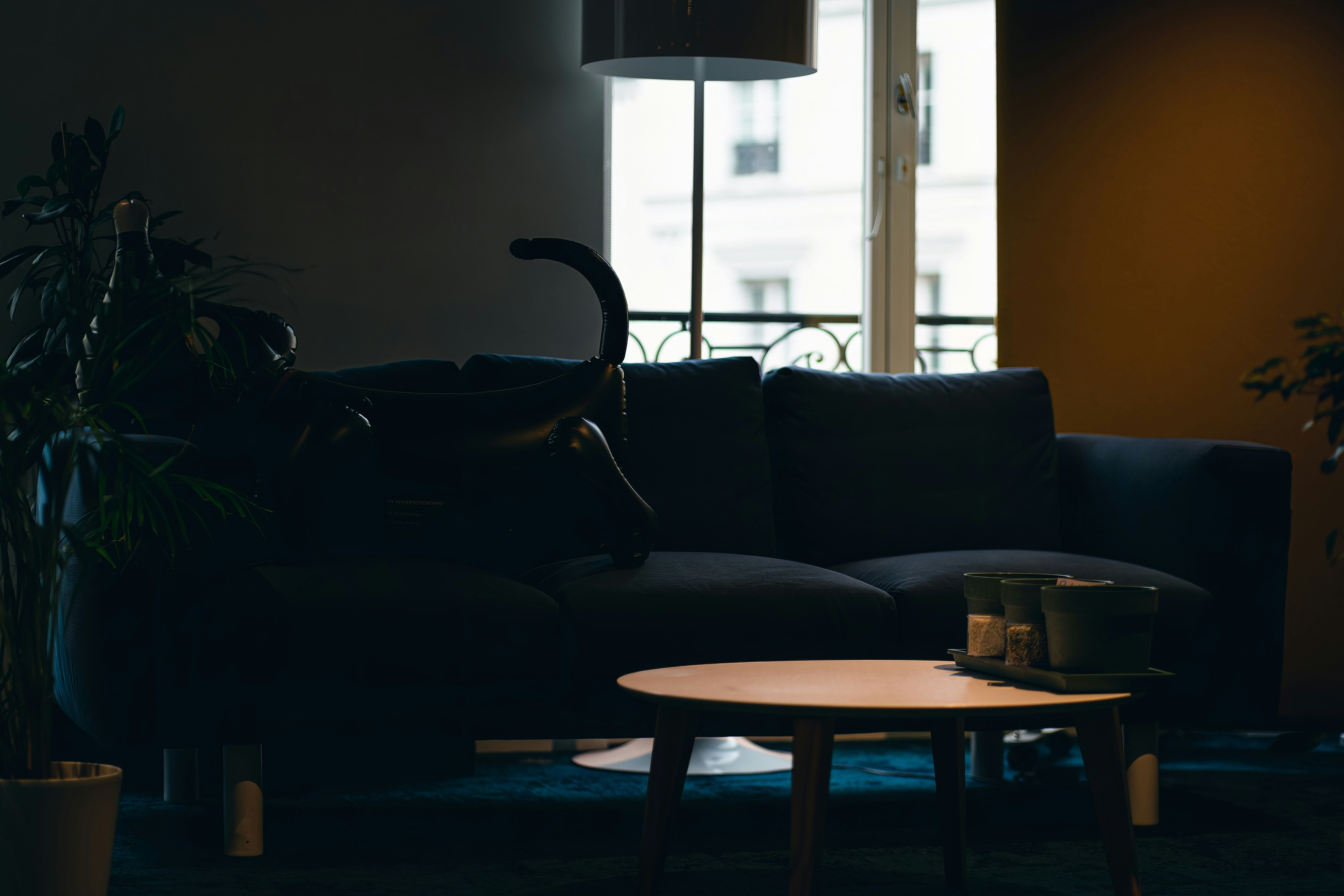 Plants and natural materials alongside a dark sectional