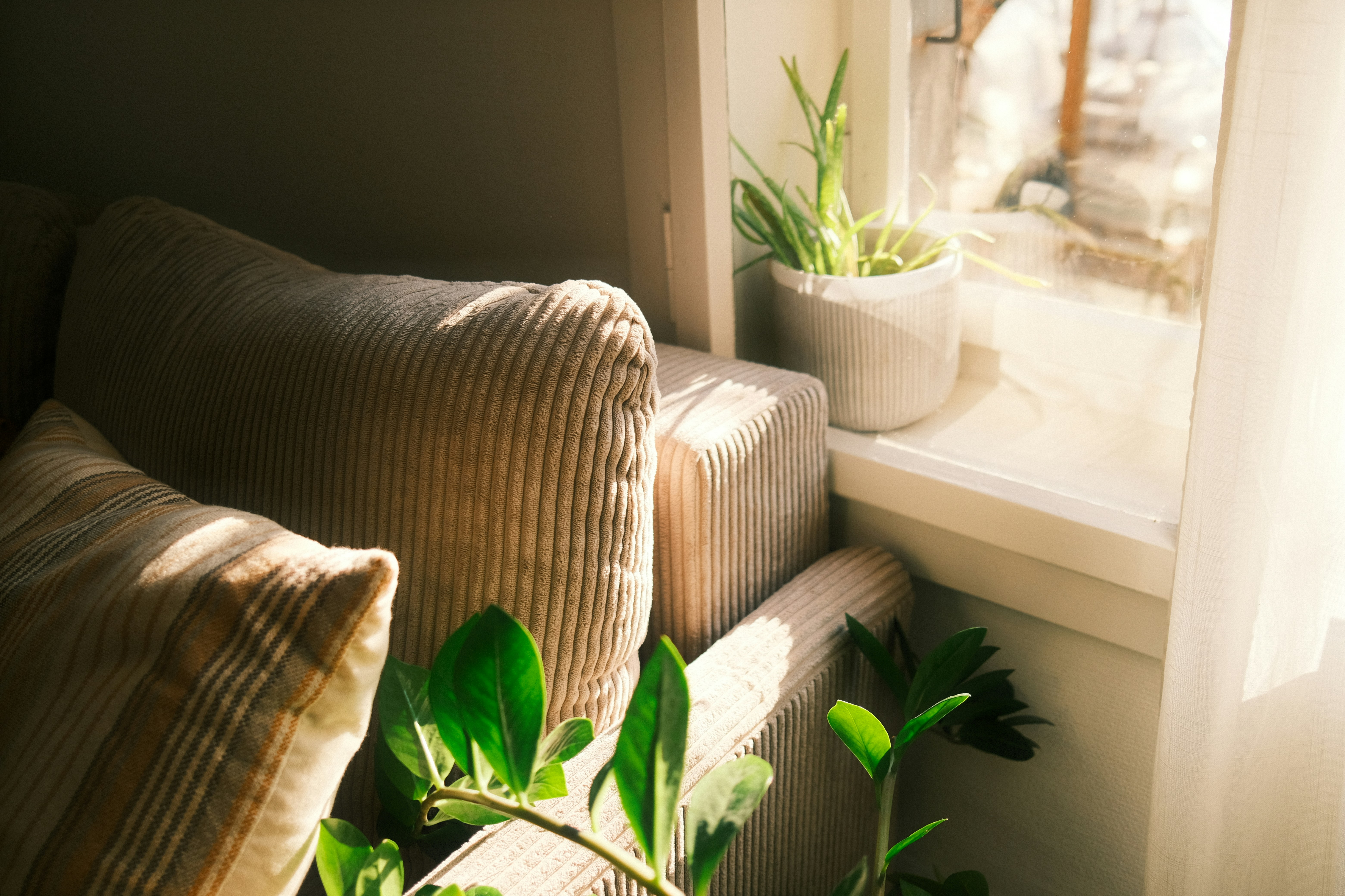 Direct sunlight hitting furniture — showing why placement matters